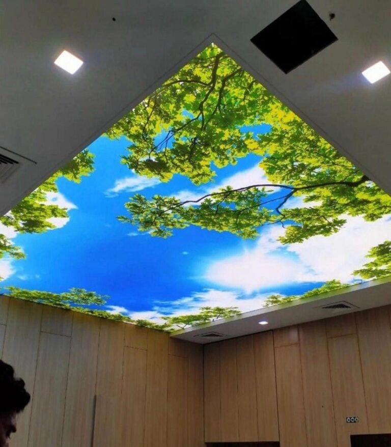 Matte Stretch Ceiling