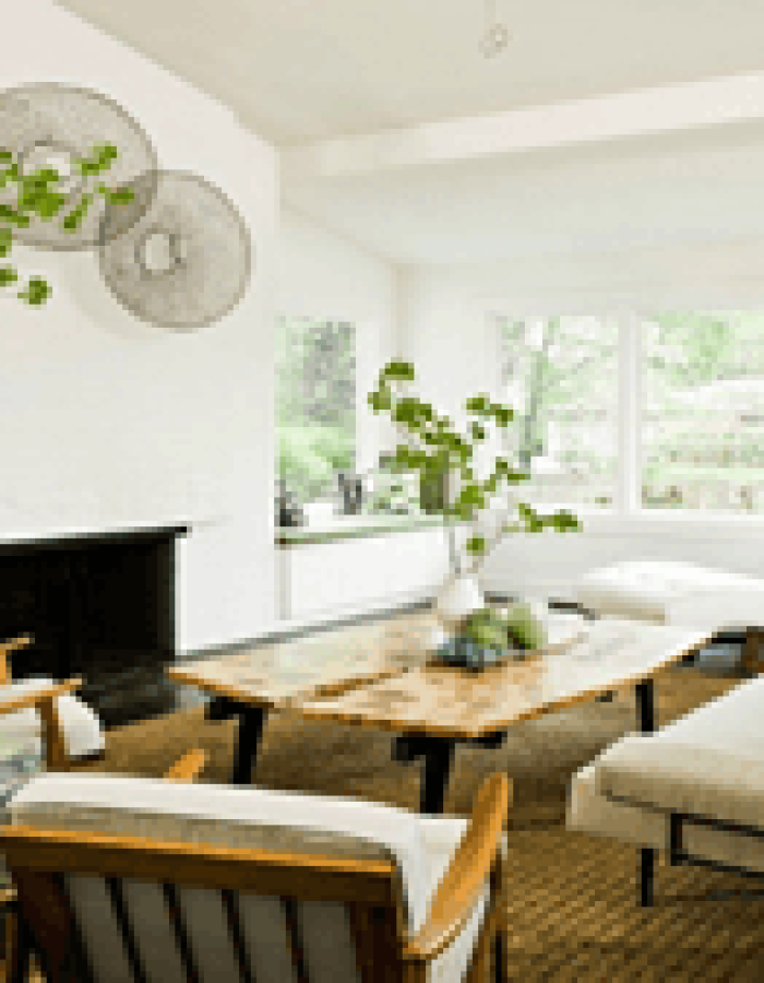 indoor-plant-decoration-idea