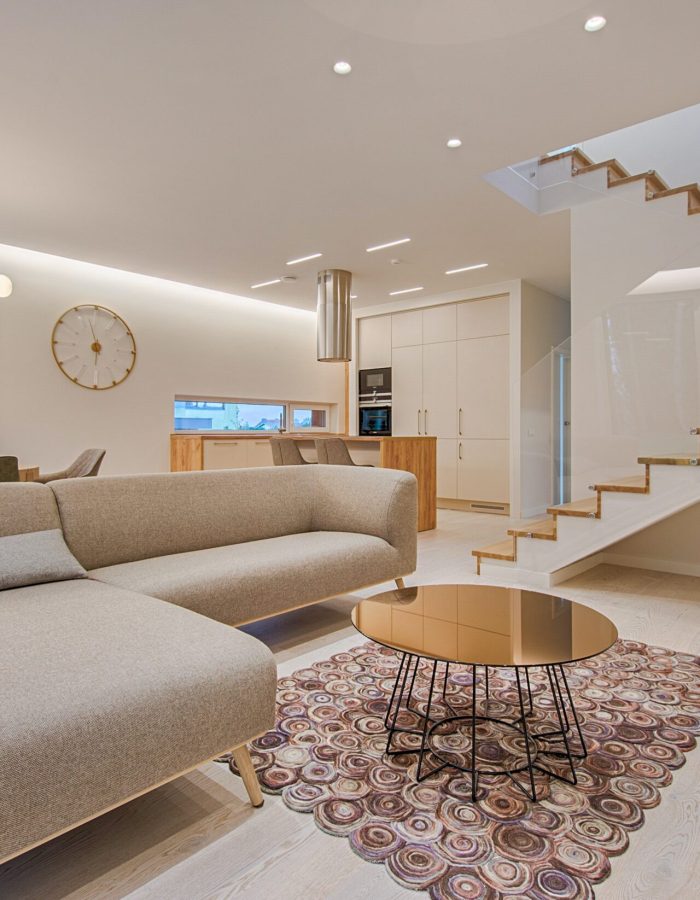 pexels-vecislavas-popa-1571460